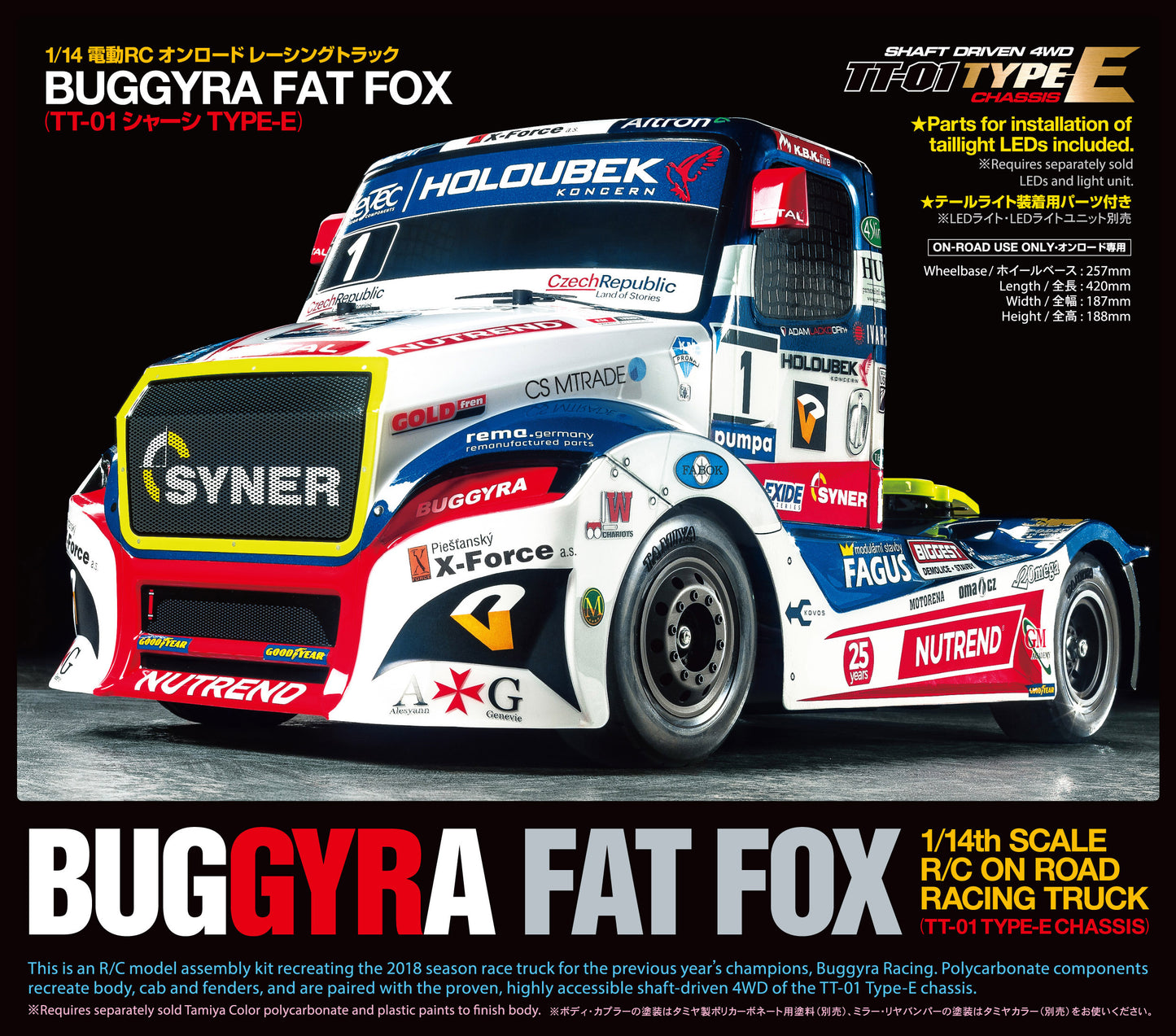 Tamiya TT01 fat fox Buggyra 1/14